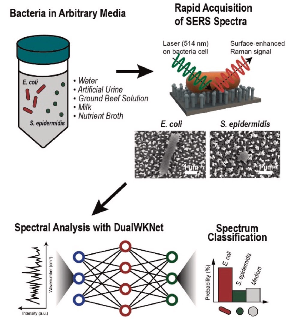 Bio-Medical Applications